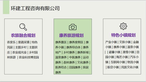 安國(guó)社會(huì)穩(wěn)定風(fēng)險(xiǎn)評(píng)估報(bào)告 信息系統(tǒng)集成服務(wù)公司的專業(yè)能力分析